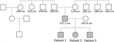 Long term effects of aromatase inhibitor treatment in patients with aromatase excess syndrome